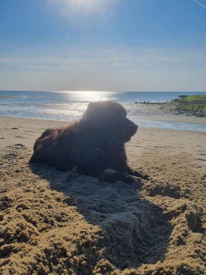 Meerblick Wattenmeer ,50M Vom Meer,Strand 300M Westerland Extérieur photo
