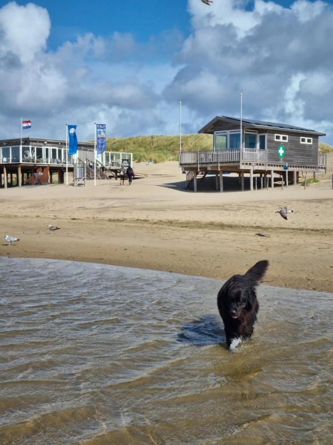 Meerblick Wattenmeer ,50M Vom Meer,Strand 300M Westerland Extérieur photo